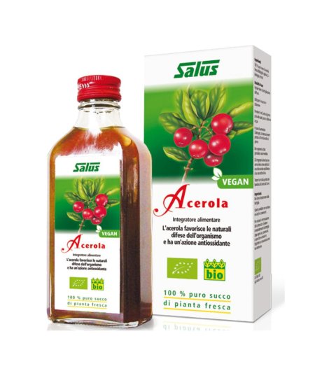 SUCCO ACEROLA 200ML