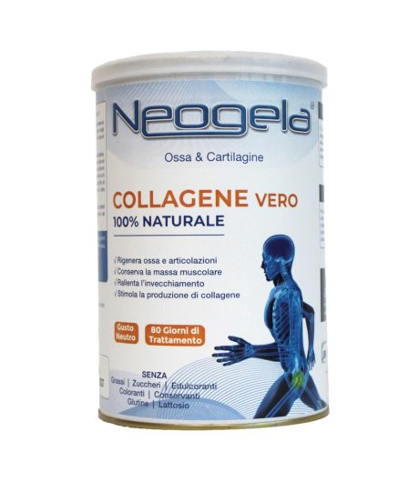 NEOGELA POLVERE 400GR ZETA 92