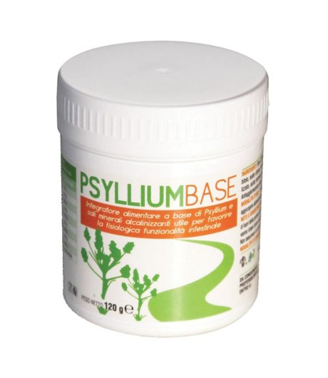 PSYLLIUM BASE POLVERE 120G