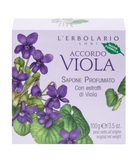 ACCORDO VIOLA SAPONE 100G