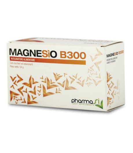 MAGNESIO B 300 30BUST