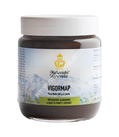 VIGORMAP PASTA 600G