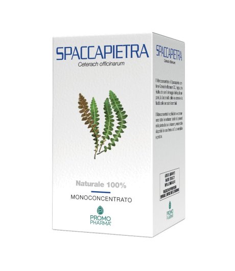 Spaccapietra 50cps