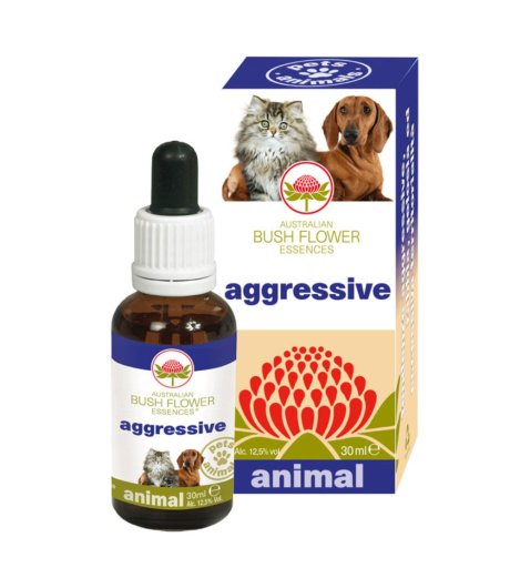 AGGRESSIVE 30ML