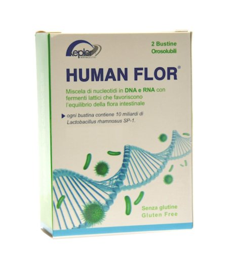 HUMANFLOR 8BUST 12G