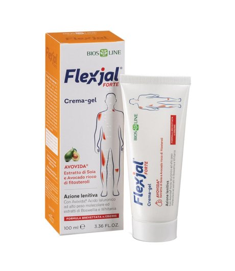 FLEX JAL Forte Crema Gel 100ml