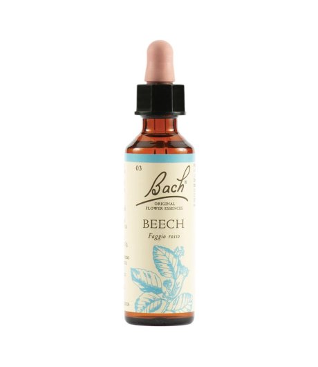 BEECH BACH ORIG 20ML