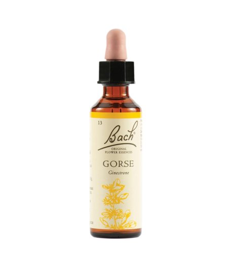 GORSE BACH ORIG 20ML