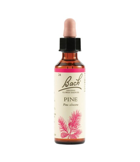 PINE BACH ORIG 20ML