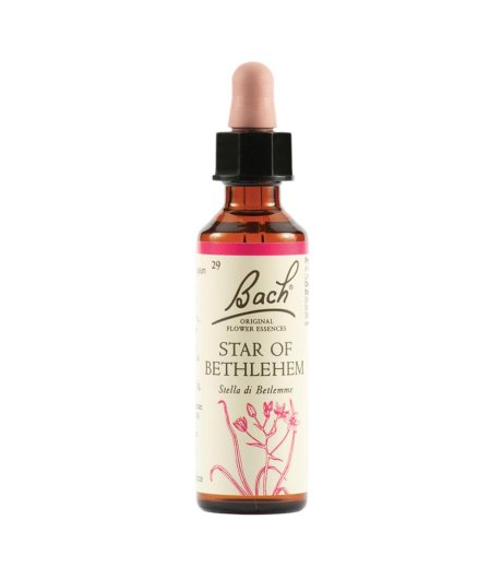 STAR OF BETHL ORIG 20ML