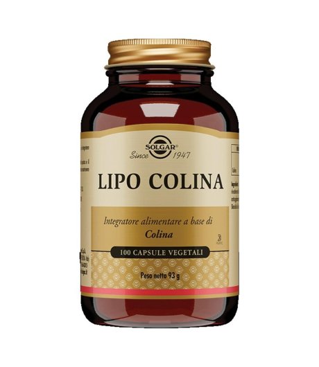 LIPO COLINA 100 Cps 100mgSOLGA