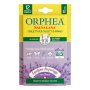 ORPHEA FOGLIETTI LAVANDA DISPL