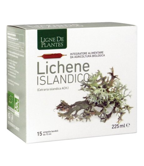 LICHENE ISLANDICO 15AMPX15ML