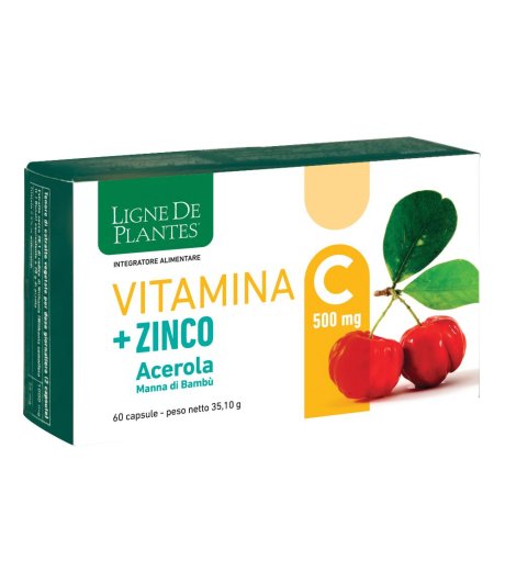 VITAMINA C 500MG+ZI/AC/BA60CPS