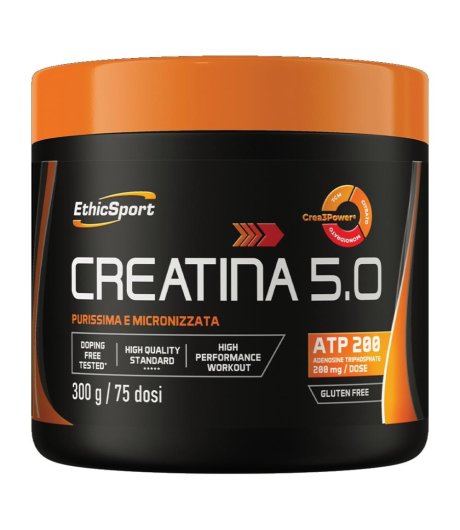 CREATINA 5.0 300G