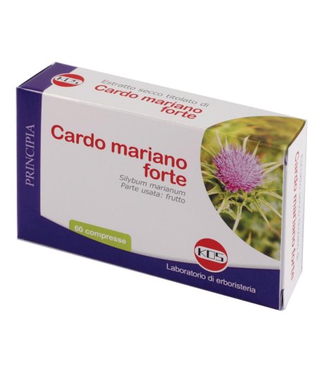 Cardo Mariano Forte 60cpr