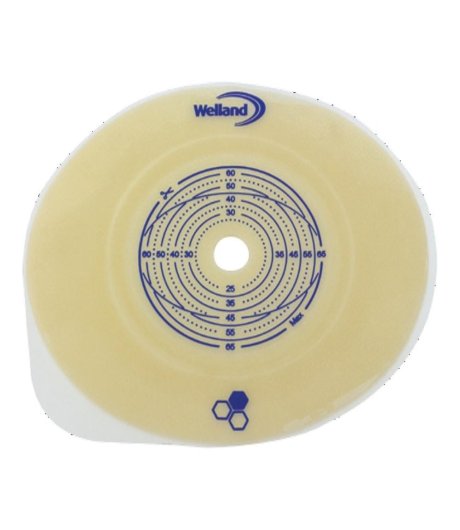 AURUM2 PLAC PIA 70 RIT 5PZ