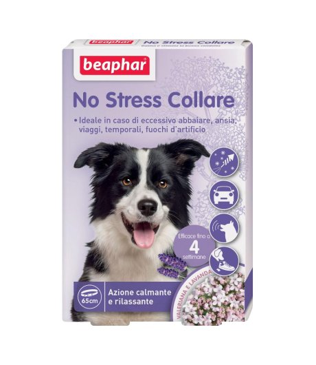 NO STRESS COLLARE CANE