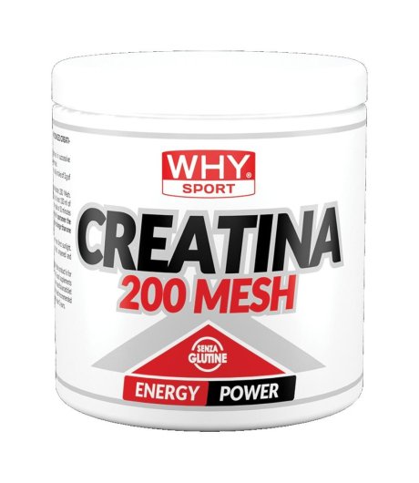 WHYSPORT CREATINA 200 MESH 200