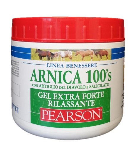 ARNICA 100'S EXTRA FT RIL500ML