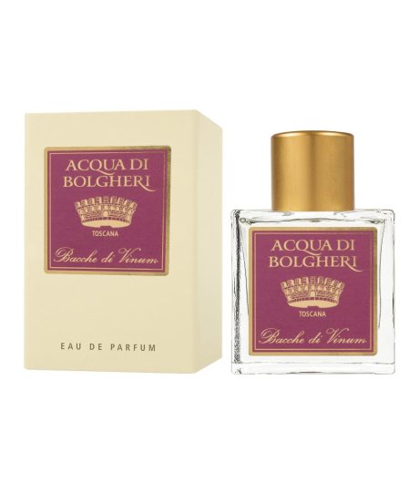 ACQUA BOLGHERI PROF VINUM100ML