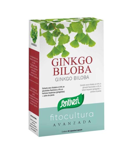 GINKGO BILOBA 40CPS