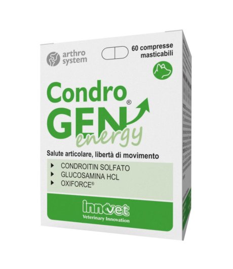 Condrogen Energy 60cpr Mastic