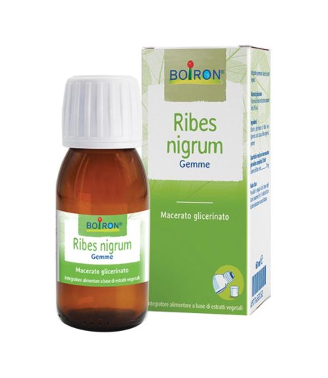 Ribes Nigrum Boi Mg 60ml Int