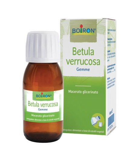 BETULA VERRUCO MG 60ML INT BO