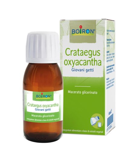 CRATAEGUS OXY BOI MG 60ML INT