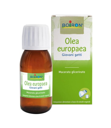 Olea Europaea Boi Mg 60ml Int