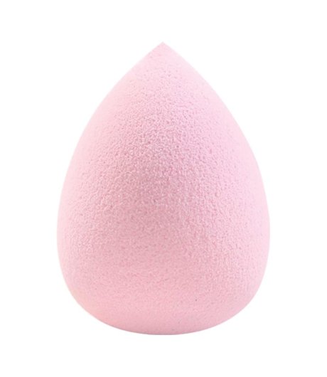 BIFFOLI SPUGNETTA 15118 SPONGE F/T