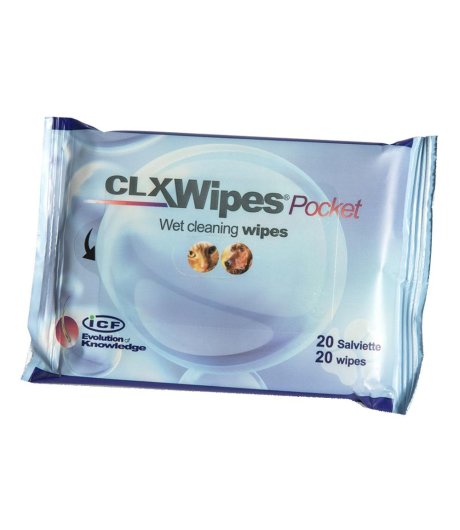Clx Wipes Pocket 20pz