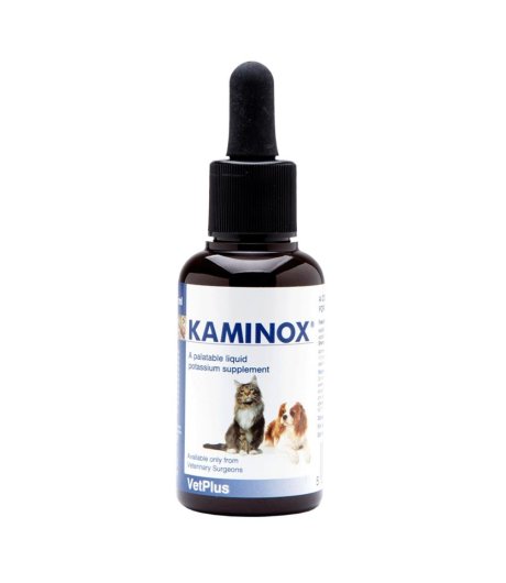 KAMINOX Sciroppo 60ml