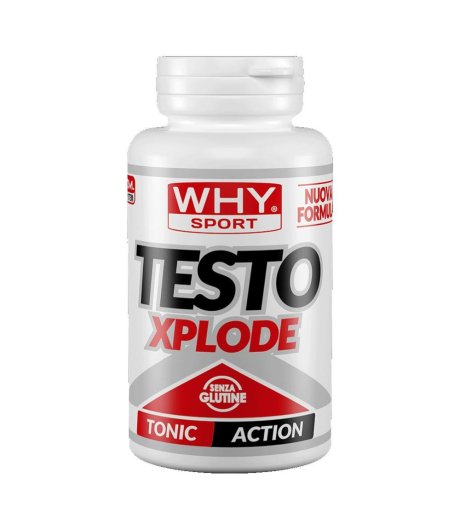 WHYSPORT TESTO XPLODE 90CPR NF