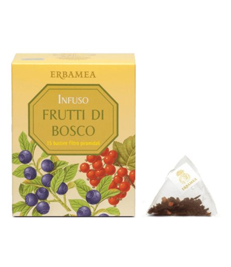 INFUSO FRUTTI DI BOSCO 45G