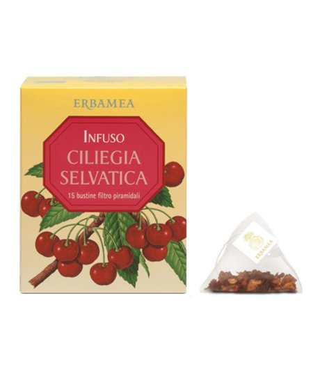 INFUSO CILIEGIA SELVATICA 45G