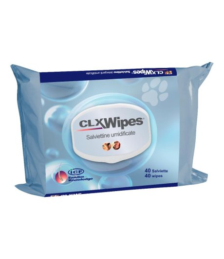 CLX WIPES 40SALV