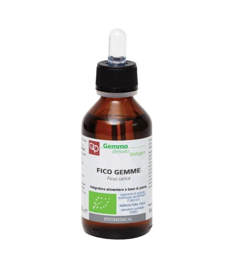 FICO GEMME BIO MG 100ML