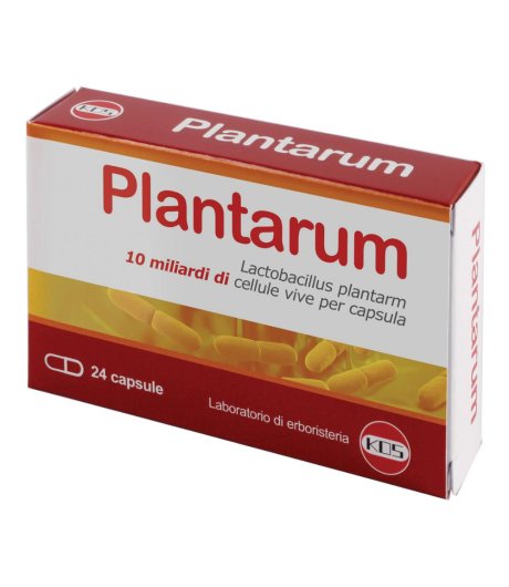 Plantarum 10mld 24cps