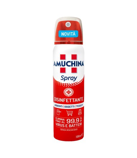 Amuchina Spray Amb/ogg/te100ml