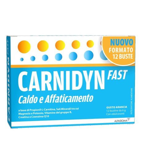 Carnidyn Fast 12bust