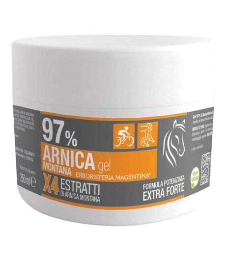 ARNICA 97% GEL 250ML ERB MAGENTI