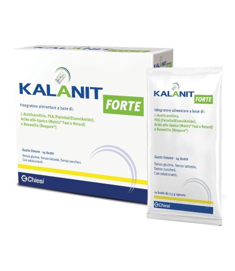 Kalanit Forte 14bust