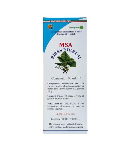 MSA RIBES NIGRUM 100ML