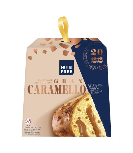 NUTRIFREE PANETTONE GRAN CARAM