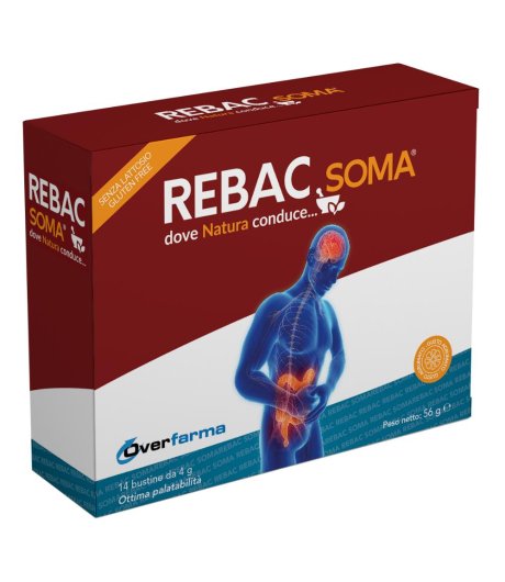 REBAC SOMA 14BUST