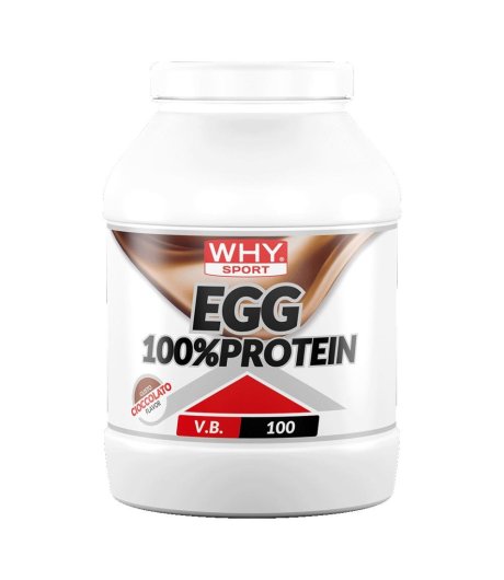 WHYSPORT EGG 100% PROTEIN CIOC