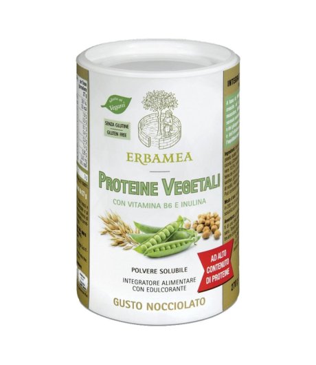 PROTEINE Veg.270g EBM