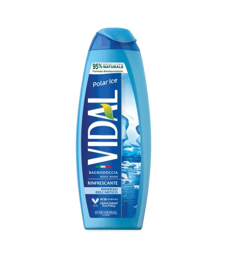 VIDAL NEW B/D POLAR ICE 500ML